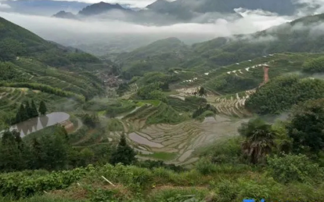 Yunhe Terraced Fields Homestay
