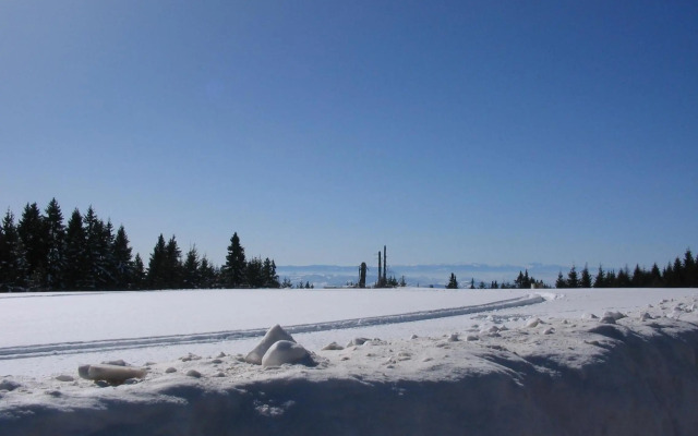 Villa Kostic Kopaonik