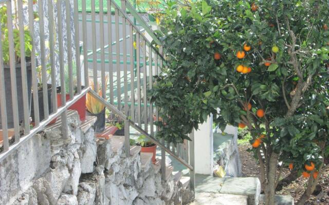 La Palma Hostel by Pension Central