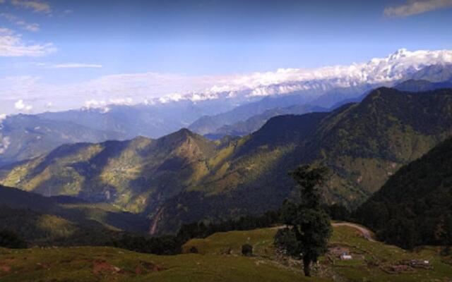 Camping At Natures Nest