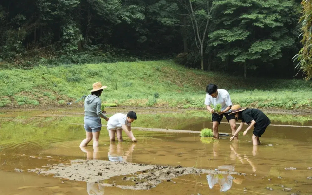 THE FARM Resort Japan