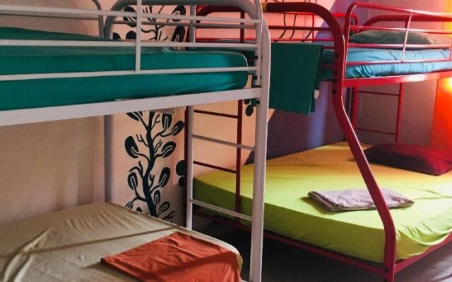 Taca Tucan Hostel
