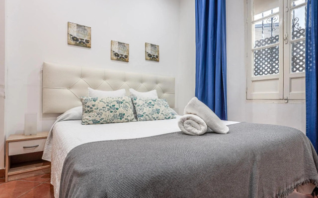 CASA DE LA LUZ -Elegante Casco Antiguo 5-Hab-11PX