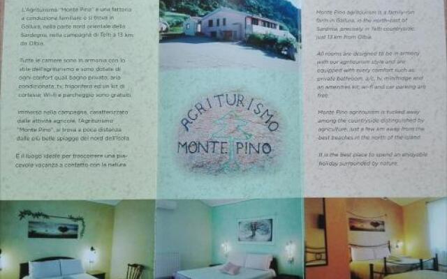 Agriturismo Monte Pino