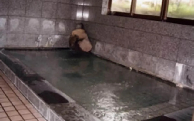 Family Lodge Miyamotoya