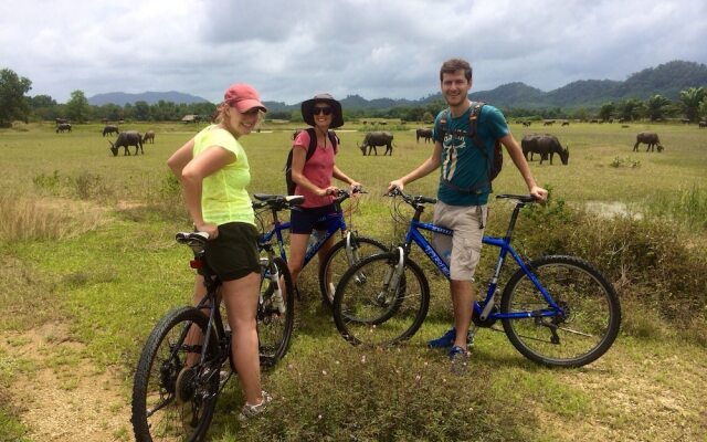Cape Pakarang Wow Wild Wellness Escapes