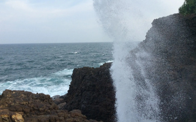 Nest Residence - Hostel