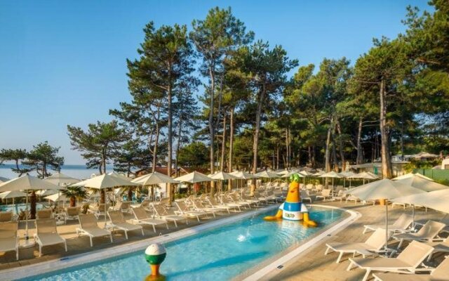 Ježevac Premium Camping Resort