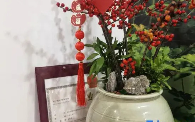 Ruyan·Mingde Elegant Residence (Hengdian Film & TV City Branch)