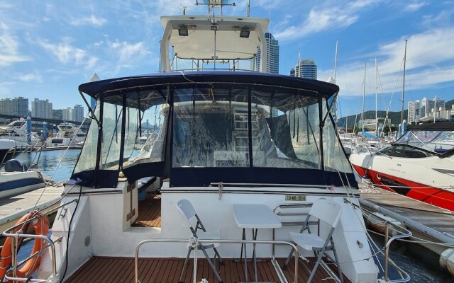 Yacht King