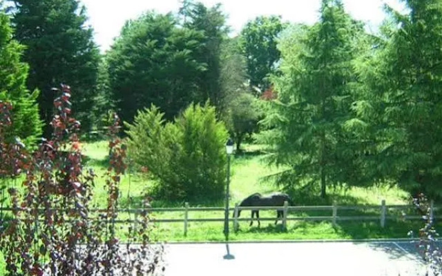 Posada Casa de Julia