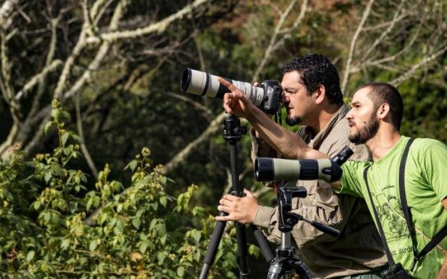 Toucanet Lodge