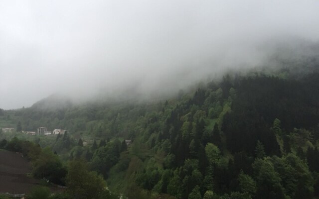 Cometouzungol Kir Apart