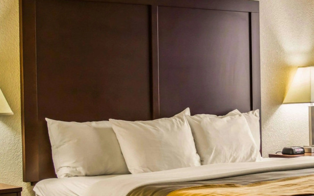 Comfort Inn Birch Run - Frankenmuth