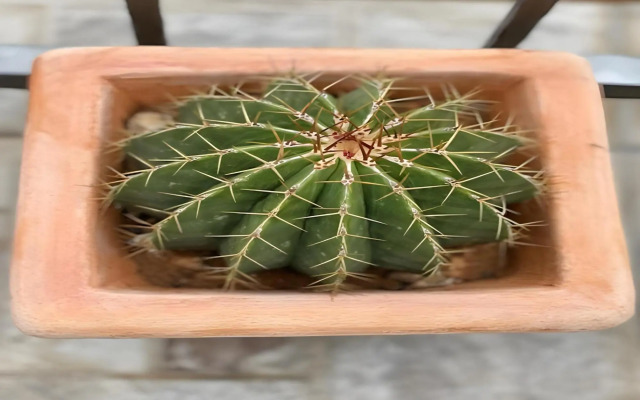 Guesthouse Apartments ZR