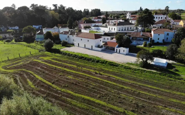 Azoia 10
