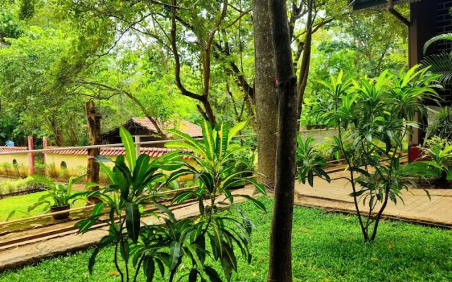 Udawalawe Safari VIllage By Plateeno