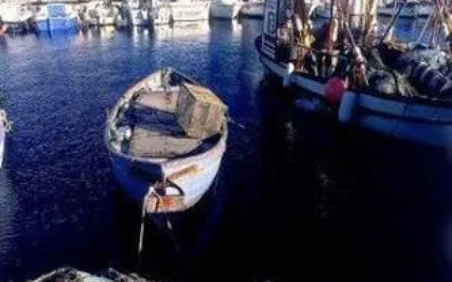 Le Kangourou by Popinns