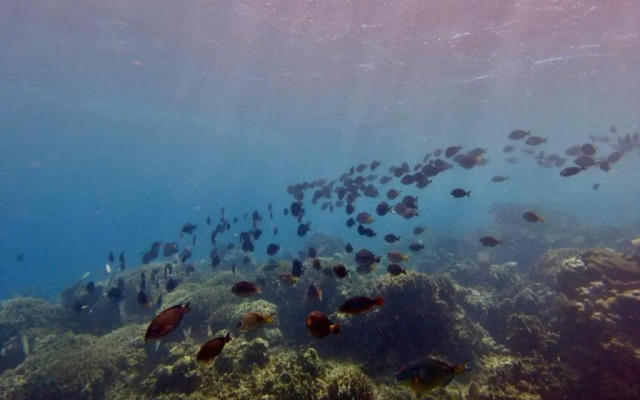 Victoria´s Beach House