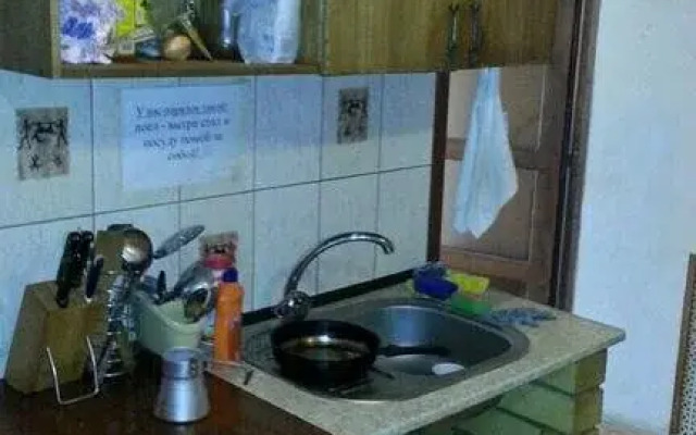 Vinogradnaya Loza Guest House