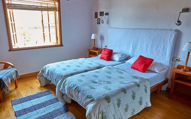 Luxury Las Viñas 1