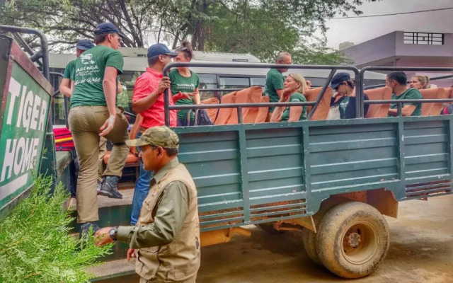 Ranthambore Tiger Home