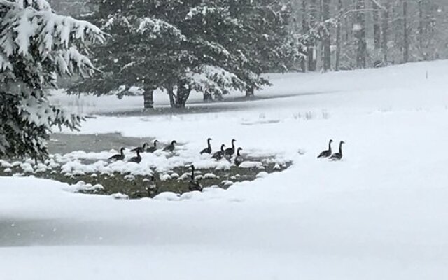 Westwood Villas, Lake Harmony, USA