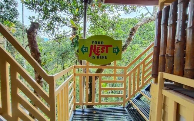 Chalona Jungle Eco Stay