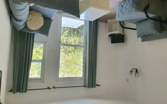 Ant Apartments