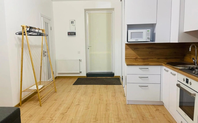 Куліша 9, центр, апартаменти біля оперного