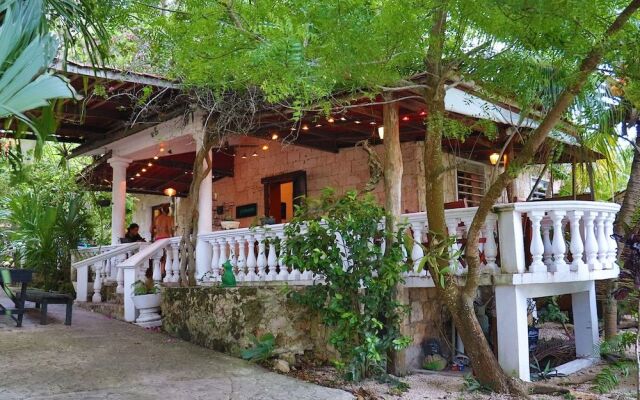 Casa Tortuga Backpacker