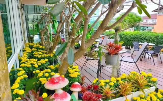 The Bliss Loei Living