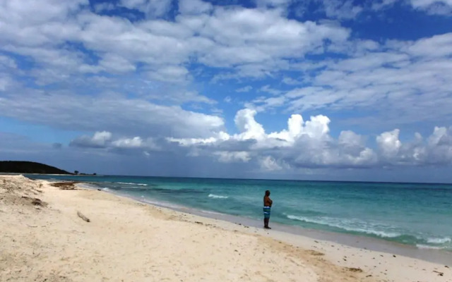 Beautiful 2-bed Apartment in Sunny Jamaica