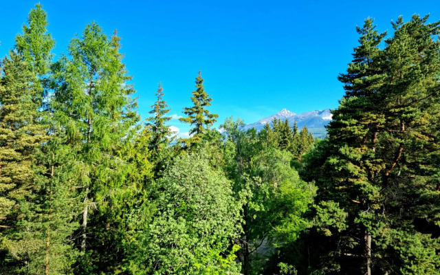 Monte Amnis Apartment