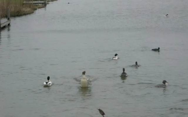 Stella Maris Modern Retreat