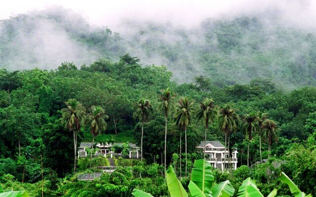 Litchi Garden Rainforest Hot Spring Resort