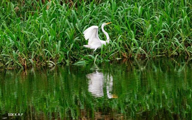 Pacaya Samiria Amazon Lodge