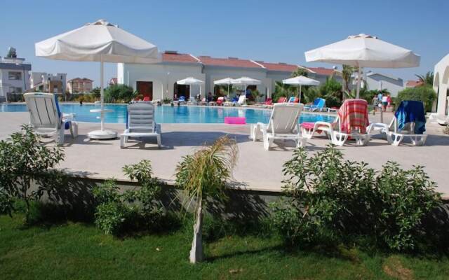 Yeldener Crystal Rocks