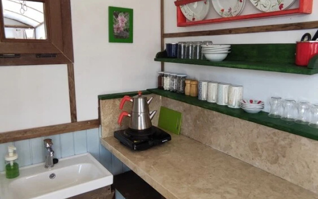 Torrhebia Dag Evi