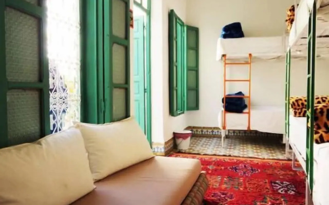 Kaktus Hostel