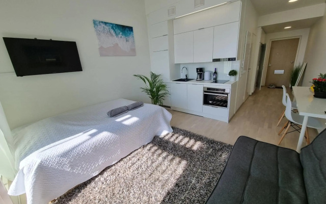 Penthouse in the Oulu center