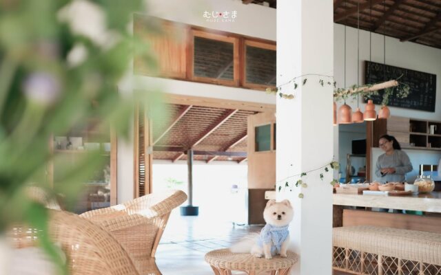 COOLLiving Farmhouse Organic