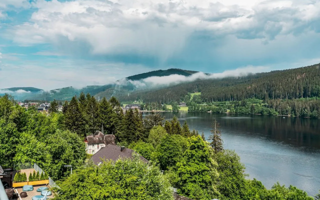Nature Titisee