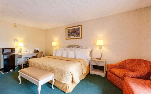 Hotel Elev8 Flagstaff, Trademark Collection by Wyndham