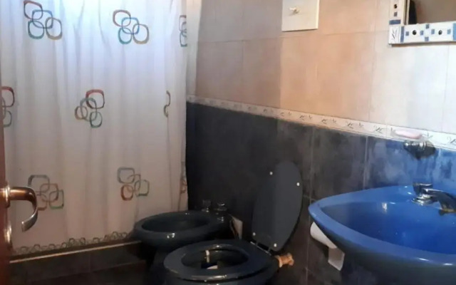 Bosque Peralta Ramos. Zorzales del Bosque