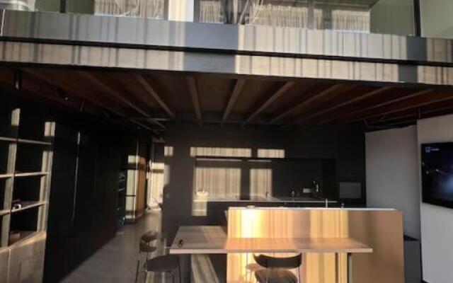 Huge modern flat in New town/Naujamiestis