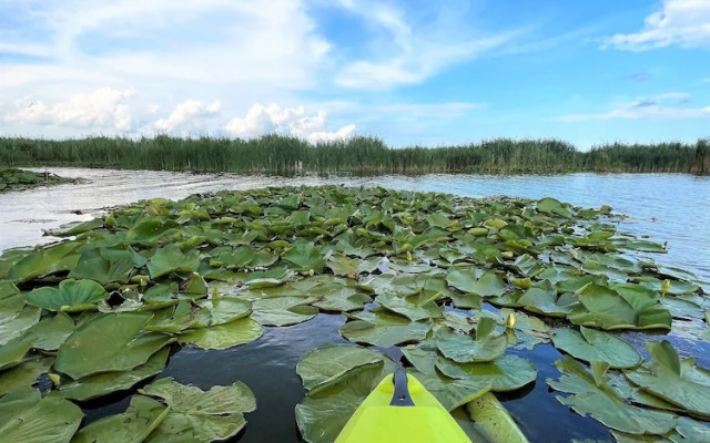 5 Chirpici - Small Traditional Resort