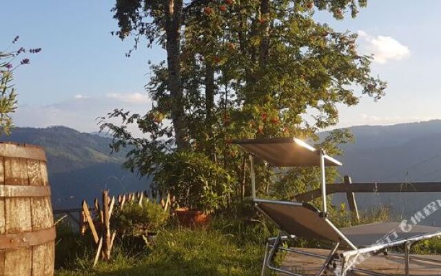 Alpengasthof Pension Rapoldsberg
