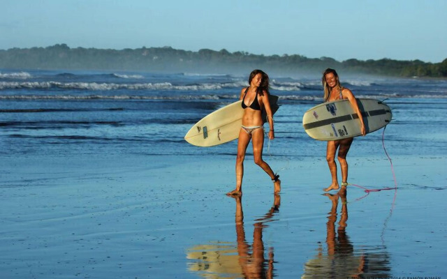 Hotel Tropical Garden