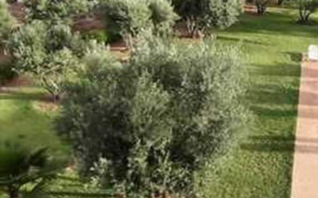 Villa AH MN